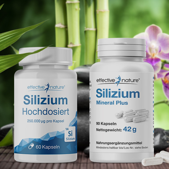 Silizum hochdosiert und Silizium Mineral Plus vor Bambus Hintergrund