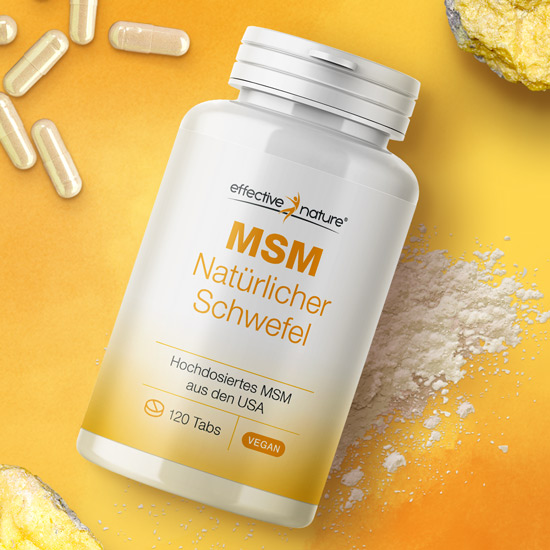 MSM Tabletten