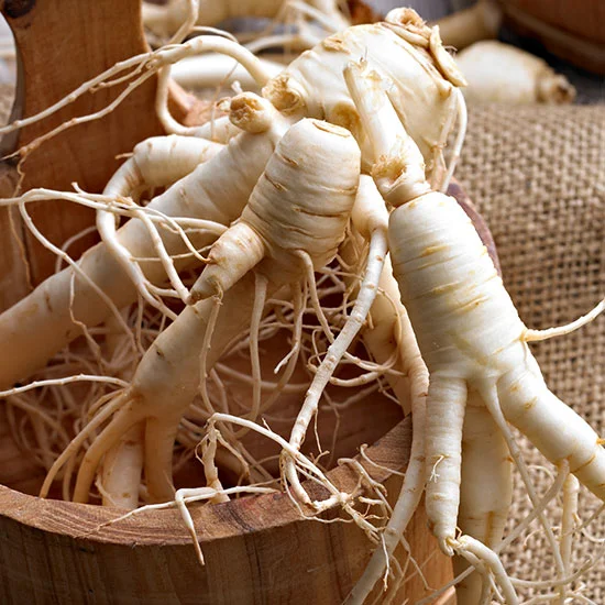 Ginseng