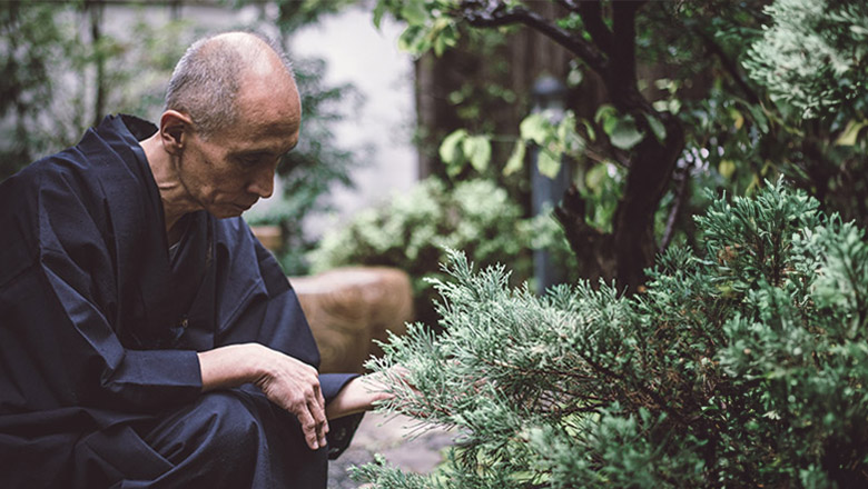 Ein älterer Mann in traditioneller japanischer Kleidung untersucht Pflanzen