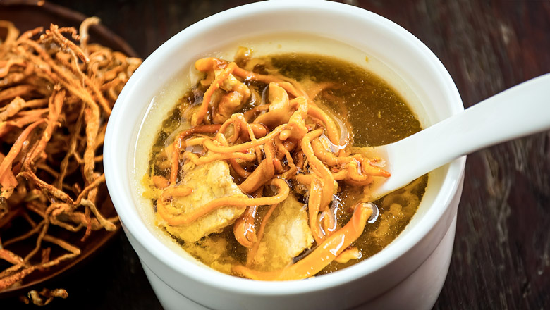 Cordyceps-Pilz in einer traditionellen Suppe