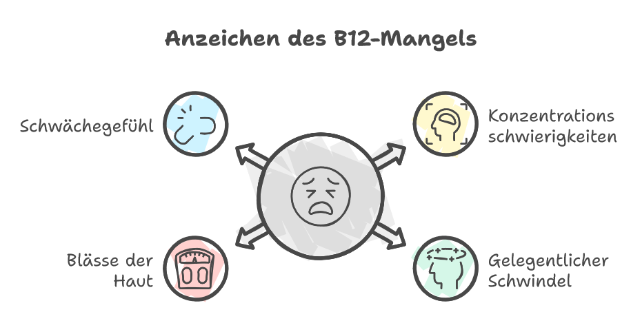 Infografik Anzeichen des B12-Mangels