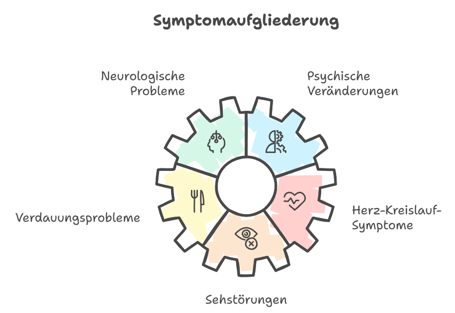 Infografik Symptome B12-Mangel